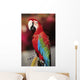Red Macaw Parrot Closeup Wall Mural