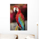 Red Macaw Parrot Closeup Wall Mural