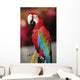 Red Macaw Parrot Closeup Wall Mural