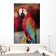Red Macaw Parrot Closeup Wall Mural