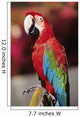 Red Macaw Parrot Closeup Wall Mural