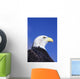 Colorado, Front Range, Bald Eagle Headshot Wall Mural