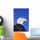 Colorado, Front Range, Bald Eagle Headshot Wall Mural