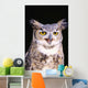 Great Horned Owl Wall Mural