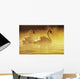 Pair Of African Swans Swimming In Misty Waters, Soft Yellow Lighting Wall Mural