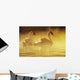 Pair Of African Swans Swimming In Misty Waters, Soft Yellow Lighting Wall Mural