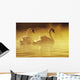 Pair Of African Swans Swimming In Misty Waters, Soft Yellow Lighting Wall Mural