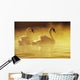 Pair Of African Swans Swimming In Misty Waters, Soft Yellow Lighting Wall Mural