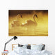 Pair Of African Swans Swimming In Misty Waters, Soft Yellow Lighting Wall Mural