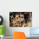 USA, Colorado, Short-Eared Owl Wall Mural