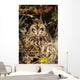 Short-Eared Owl, Asio Flammeus, Front Range, Colorado Wall Mural