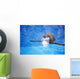 Baby Penguin Floating In Turquoise Water Wall Mural