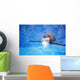 Baby Penguin Floating In Turquoise Water Wall Mural
