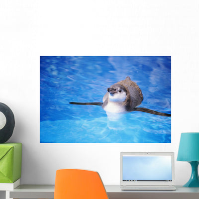 Baby Penguin Floating Turquoise Wall Mural shown on a wall
