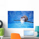 Baby Penguin Floating In Turquoise Water Wall Mural