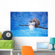 Baby Penguin Floating In Turquoise Water Wall Mural