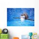 Baby Penguin Floating In Turquoise Water Wall Mural