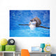 Baby Penguin Floating In Turquoise Water Wall Mural