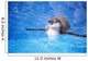 Baby Penguin Floating In Turquoise Water Wall Mural