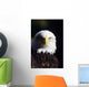 Alaska, Tongass National Forest, Closeup Of Bald Eagle Wall Mural