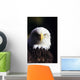 Alaska, Tongass National Forest, Closeup Of Bald Eagle Wall Mural