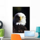 Alaska, Tongass National Forest, Closeup Of Bald Eagle Wall Mural