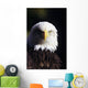 Alaska, Tongass National Forest, Closeup Of Bald Eagle Wall Mural