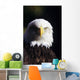 Alaska, Tongass National Forest, Closeup Of Bald Eagle Wall Mural