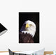 Alaska, Tongass National Forest, Closeup Of Bald Eagle Wall Mural