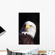 Alaska, Tongass National Forest, Closeup Of Bald Eagle Wall Mural