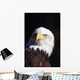 Alaska, Tongass National Forest, Closeup Of Bald Eagle Wall Mural