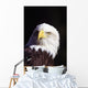Alaska, Tongass National Forest, Closeup Of Bald Eagle Wall Mural