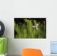 Alaska, Red Throated Loon Swims On A Green Pond Wall Mural