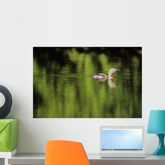 Alaska, Red Throated Loon Swims On A Green Pond Wall Mural