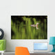 Alaska, Red Throated Loon Swims On A Green Pond Wall Mural