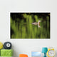 Alaska, Red Throated Loon Swims On A Green Pond Wall Mural