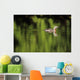 Alaska, Red Throated Loon Swims On A Green Pond Wall Mural