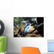 Australia, Kingfisher Wall Mural