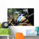 Australia, Kingfisher Wall Mural