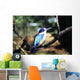 Australia, Kingfisher Wall Mural