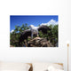 Indonesia, White Bellied Sea Eagle Holding A Fish With Wings Spread Wall Mural