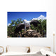 Indonesia, White Bellied Sea Eagle Holding A Fish With Wings Spread Wall Mural