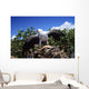 Indonesia, White Bellied Sea Eagle Holding A Fish With Wings Spread Wall Mural