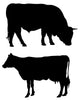 Farm Animals