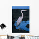 Galapagos, Great Blue Heron Wall Mural
