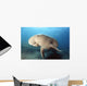 Dugong swimming underwater Wall Mural