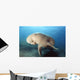 Dugong swimming underwater Wall Mural