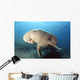Dugong swimming underwater Wall Mural