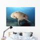 Dugong swimming underwater Wall Mural