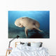 Dugong swimming underwater Wall Mural